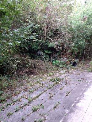 Garten / Rücks. / Terrasse