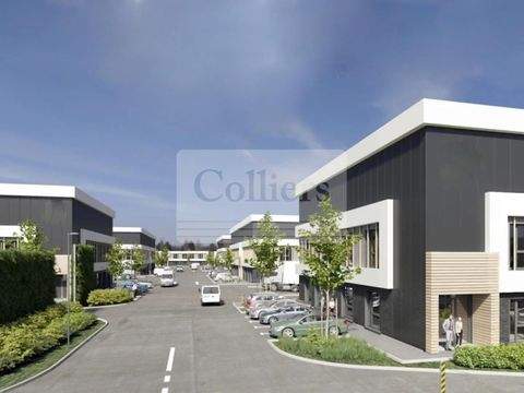 Wedel Halle, Wedel Hallenfläche