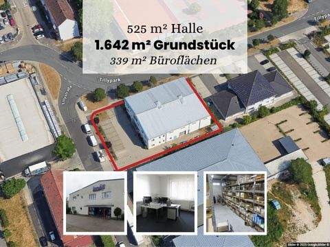 Nürnberg Halle, Nürnberg Hallenfläche