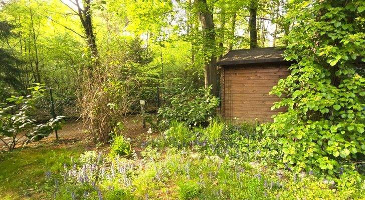 Mietobjekt1Bienenwiese.Garten