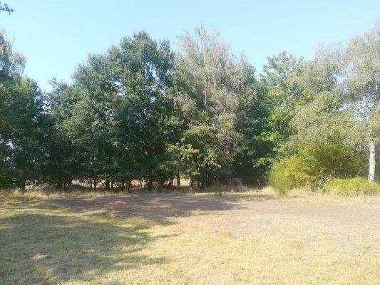 Gut gepflegte Außenanlagen