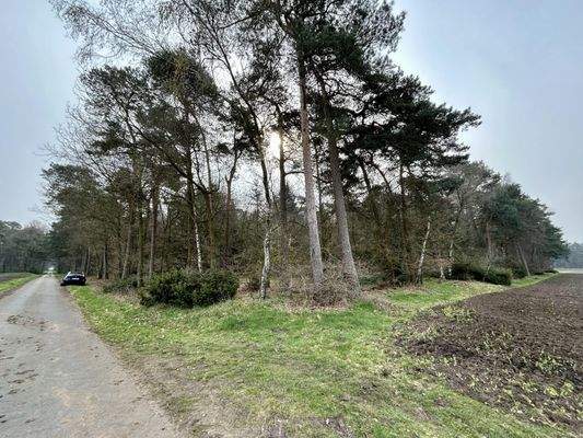 Fläche im Nord-Westen