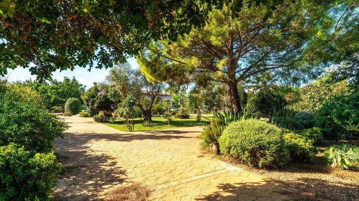 Binissalem Mallorca Finca zu verkaufen Garten BHHS-BAL-1061