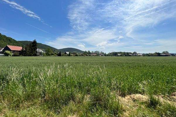 Das Haus (Mitte) ist von Fledern, Wiesen und Obstgärten umgeben