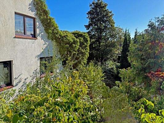 Blick zum Grundstück 