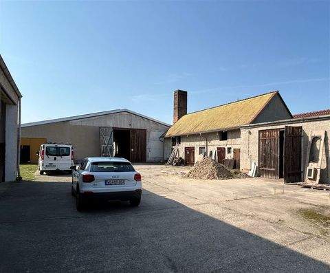 Kemberg Halle, Kemberg Hallenfläche