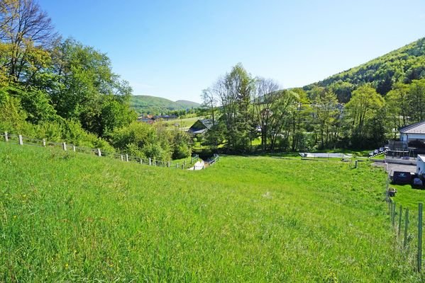 Blick hangabwärts über das Grundstück von Südwest nach Nordost