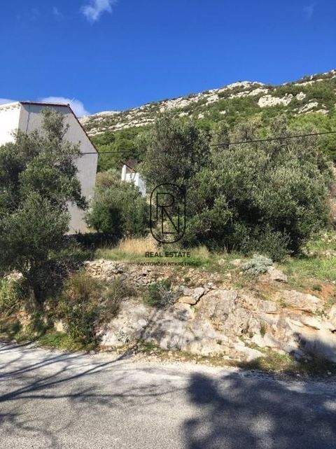 Mljet Bauernhöfe, Landwirtschaft, Mljet Forstwirtschaft