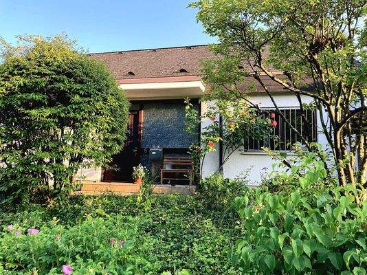 blühender Vorgarten.jpg