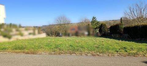 Sinsheim Grundstücke, Sinsheim Grundstück kaufen