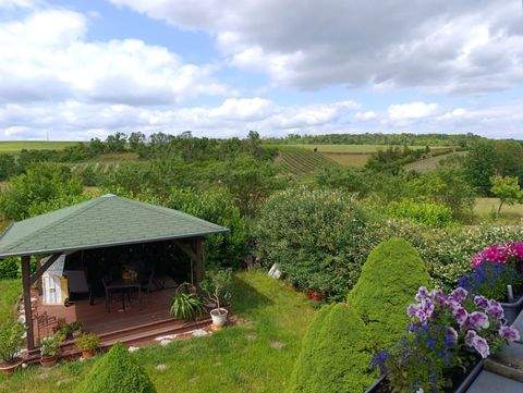 Freyburg (Unstrut) Häuser, Freyburg (Unstrut) Haus kaufen
