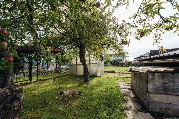 Haus Straßgang 07 2025-14