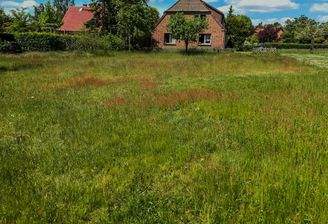 Baugrundstück Adendorf