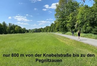 Pegnitzauen 1.jpeg