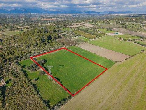 LLUBÍ Grundstücke, LLUBÍ Grundstück kaufen