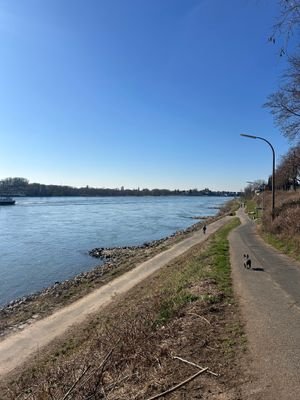 Rhein