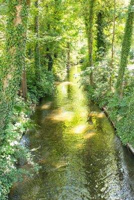 Umgebung Dachstrasse