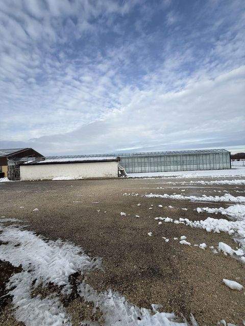 Burgau Bauernhöfe, Landwirtschaft, Burgau Forstwirtschaft