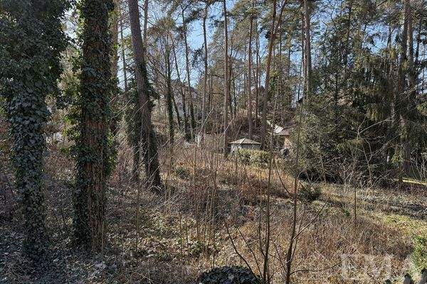 viel Platz für ein großes Einfamilienhaus