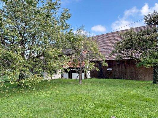 großer Garten mit Obstbaumbestand