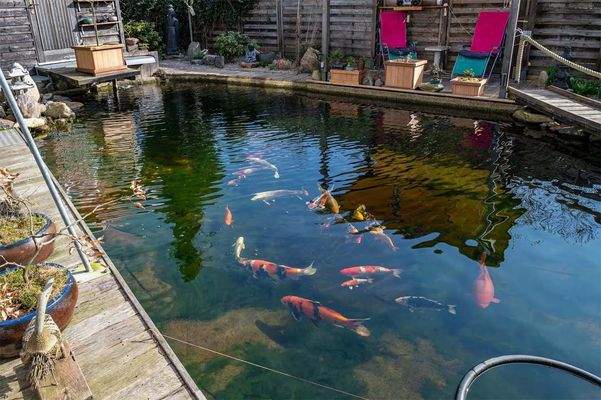 makellos 30 EFH Bützow  - Koiteich.jpg