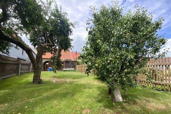 Garten mit Obstbäumen