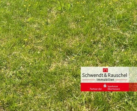 Feldatal Bauernhöfe, Landwirtschaft, Feldatal Forstwirtschaft