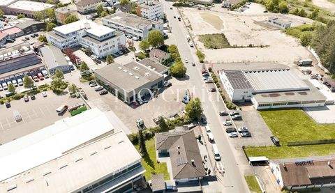 Reutlingen Halle, Reutlingen Hallenfläche