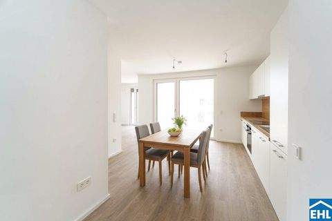 Pixendorf Wohnungen, Pixendorf Wohnung mieten