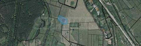 Pernik Bauernhöfe, Landwirtschaft, Pernik Forstwirtschaft