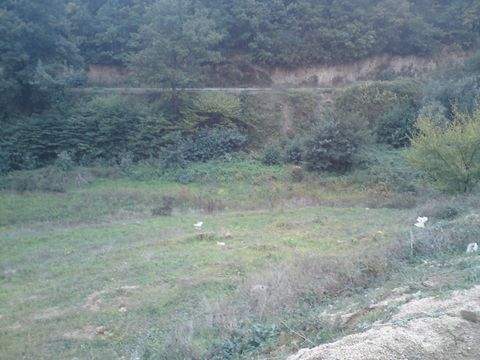 Istanbul Beykoz Grundstücke, Istanbul Beykoz Grundstück kaufen