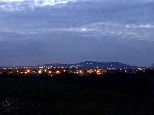 106adf11-3303-483f-a159-fdad7817a8d6