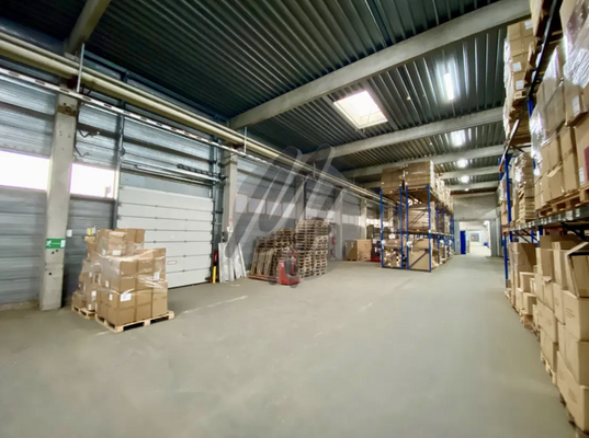 INFOS UNTER: 06171-586000