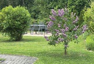 IMG_6794 Gemeinschaftsgarten.jpg