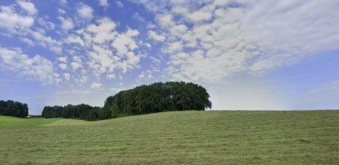 Seekirchen am Wallersee Bauernhöfe, Landwirtschaft, Seekirchen am Wallersee Forstwirtschaft