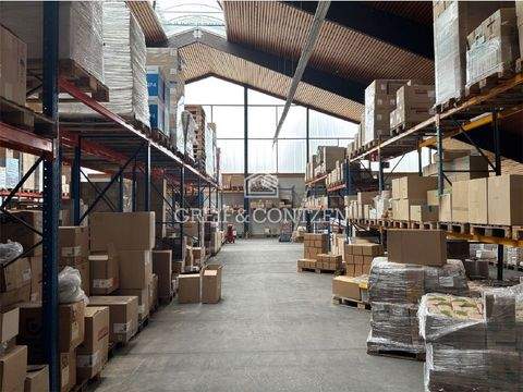 Köln Halle, Köln Hallenfläche