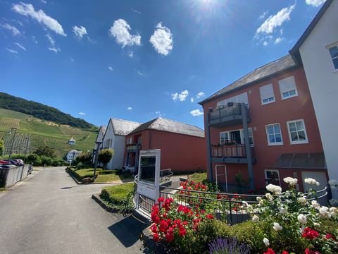 Bernkastel Kues Wohnungen, Bernkastel Kues Wohnung mieten