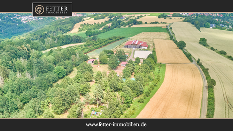 Battenberg (Pfalz) Bauernhöfe, Landwirtschaft, Battenberg (Pfalz) Forstwirtschaft