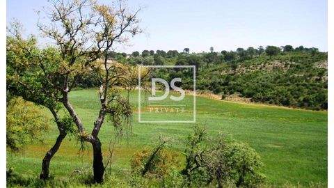 Carregueiros Grundstücke, Carregueiros Grundstück kaufen