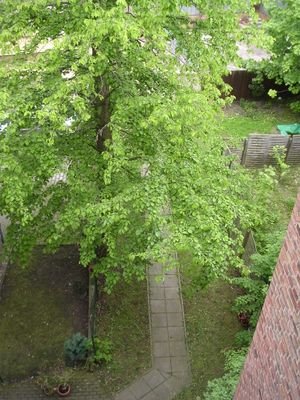 Blick vom Balkon