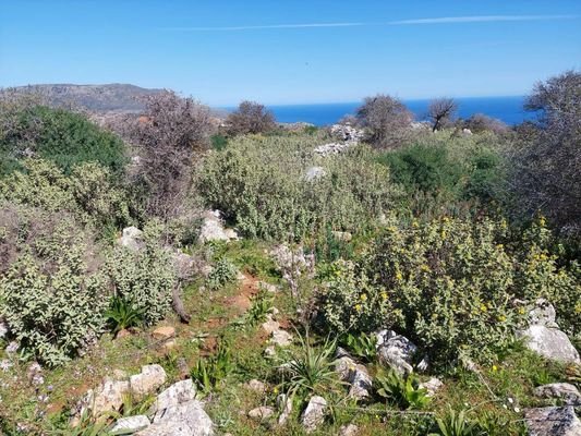 Kreta, Kefalas Chania: Atemberaubendes Grundstück mit Meerblick zum Verkauf