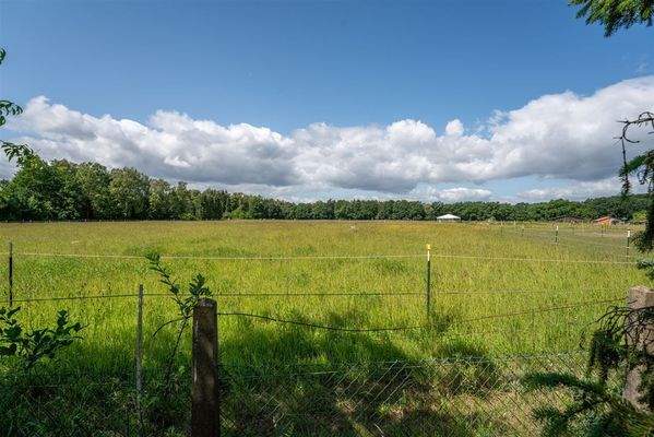 Weitblick über Wiesen