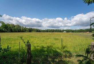 Weitblick über Wiesen