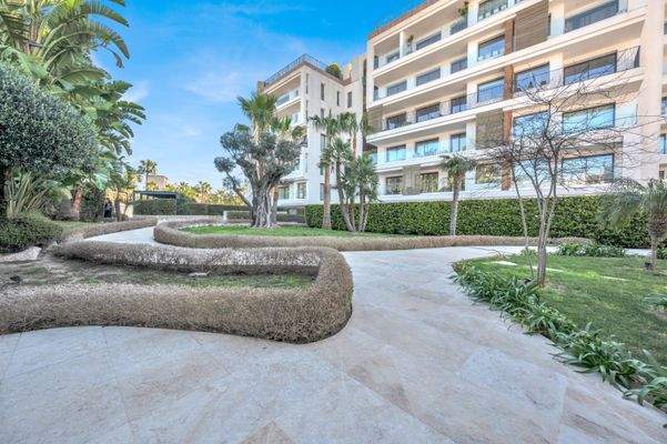 Community in Portals Nous