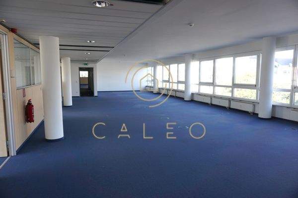 Innenansicht - Bürofläche 9