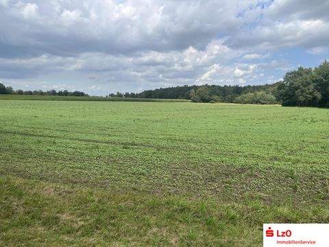 Wehrbleck Bauernhöfe, Landwirtschaft, Wehrbleck Forstwirtschaft