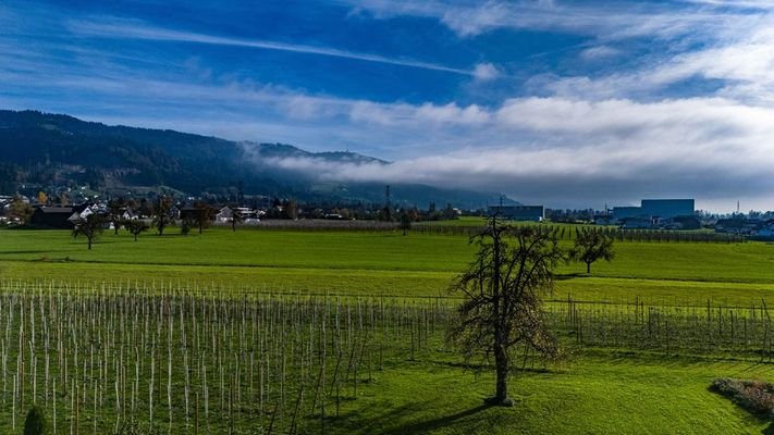 Blick auf den Pfänder