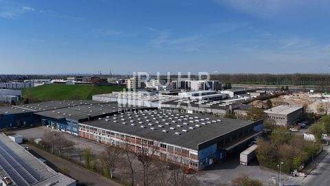 Monheim Halle, Monheim Hallenfläche