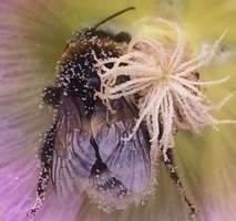 Willkommen im neuen Zuhause !