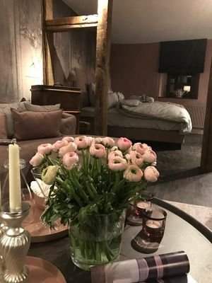 Zimmer Flora 
